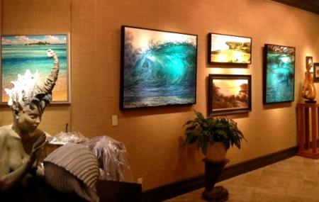 Reeflections Fine Art Gallery Image