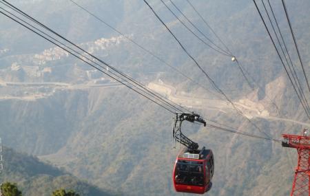 Timber Trail Image