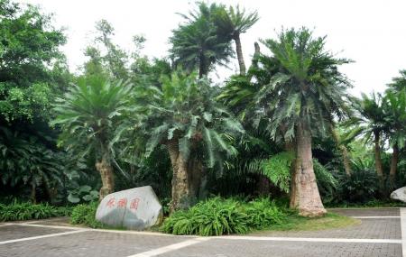 Guangxi Medicinal Botanical Garden Image