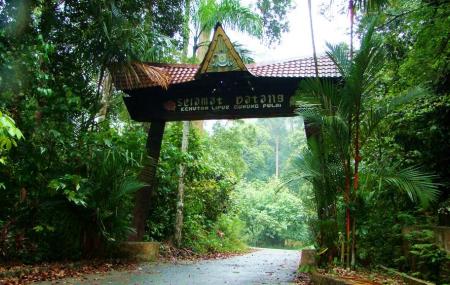  Gunung Pulai Recreational Forest  Johor Bahru Ticket 