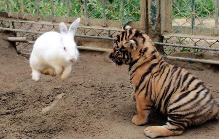 Qingdao Animal World Image