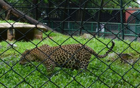 Thiruvananthapuram Zoo Image