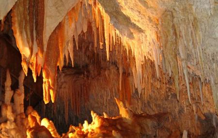 Jewel Cave Image