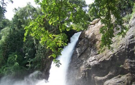 Soochippara Falls Image