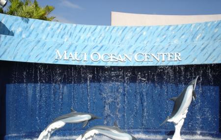 maui ocean center near hotel find