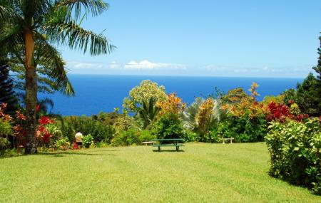 Maui Garden Of Eden Maui Ticket Price Timings Address Triphobo