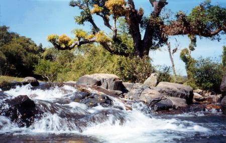 Papanashini River Image