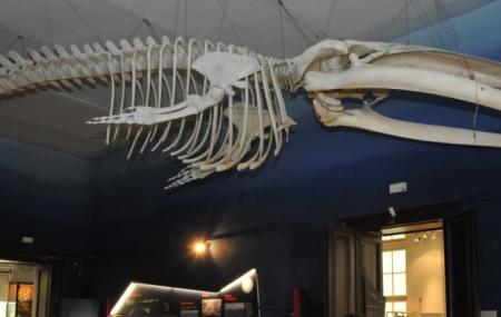 The Slovenian Museum Of Natural History Image