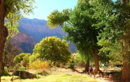 Indian Garden Image