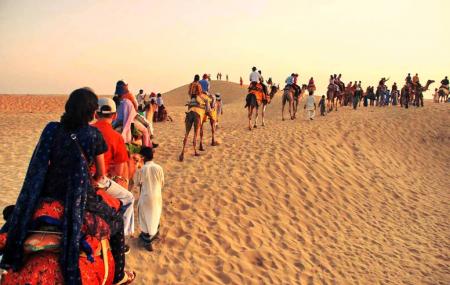 Pushkar Camel Safari Tour Image