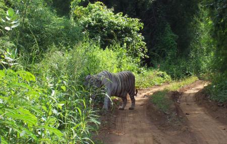 Sanjay Gandhi National Park, Mumbai | Ticket Price | Timings | Address