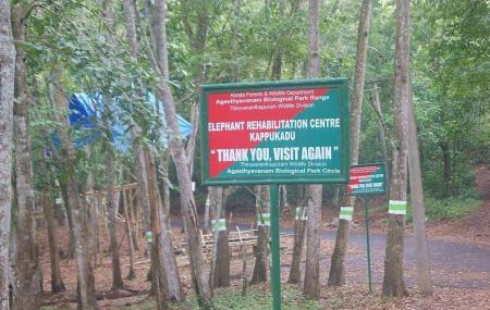 Kottoor Kappukadu Elephant Rehabilitation Centre Image