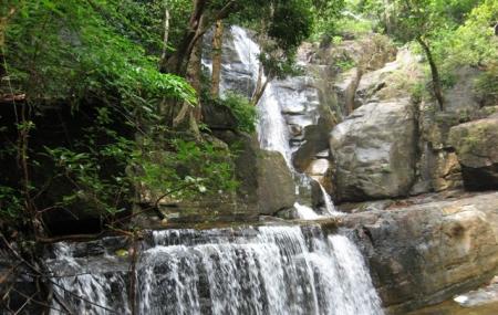 Vazhvanthol Waterfalls, Trivandrum | Ticket Price | Timings | Address ...