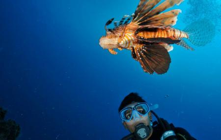 Nemo Diving Center Image