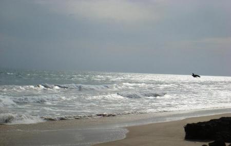 Dhanushkodi Beach Image