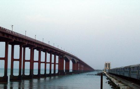 Annai Indira Gandhi Road Bridge Image