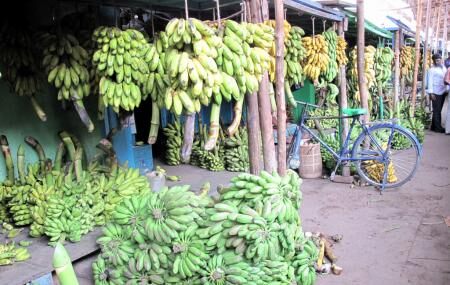 Banana Market Image