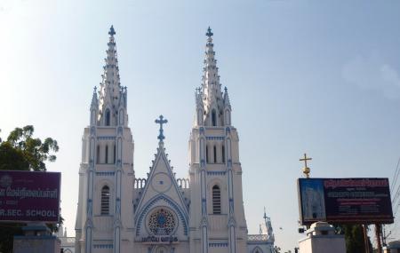 Saint Mary's Cathedral Image