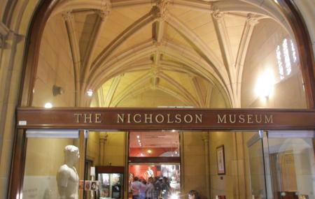 Nicholson Museum Image