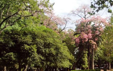 Alegre Botanical Garden Image