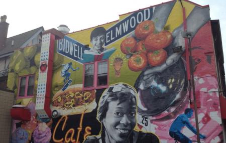Elmwood Village Image
