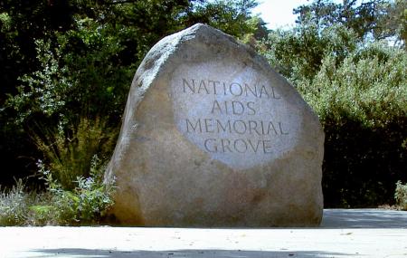 National Aids Memorial Grove Image