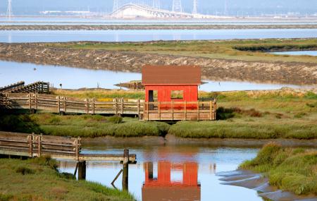 Don Edwards San Francisco Bay Wildlife Refuge Image