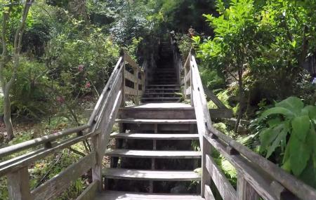 Filbert Steps And Grace Marchant Gardens Image