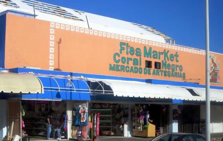 Flea Market Coral Negro Image