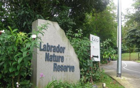 Labrador Nature Reserve Image