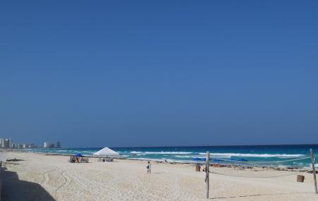 Playa Marlin Image