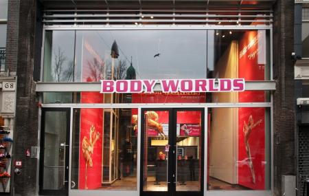 Body Worlds Image