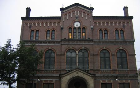 Paradiso Image