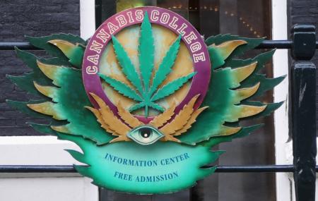 Cannabis College Image