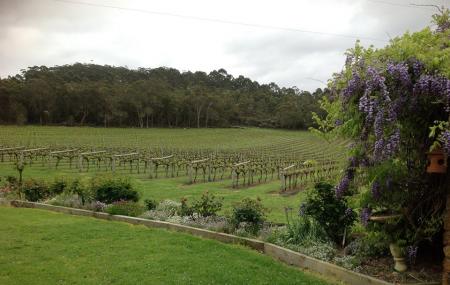 Duckett's Mill Winery Image