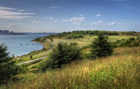 Spectacle Island Image