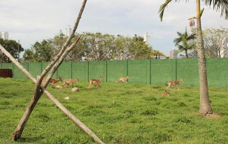 Complexo Ambiental Cyro Gevaerd Zoologico Image