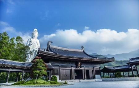 Tsz Shan Monastery Image