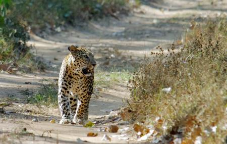 Sita Mata Wildlife Sanctuary Image