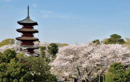 Ikegami Honmon Temple Image
