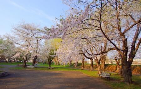 Noshi Park Image
