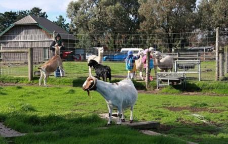 Myuna Farm Image