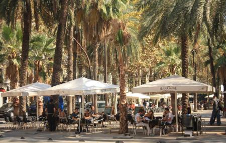 El Raval Image