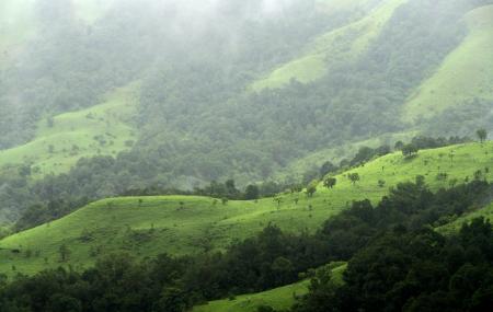 Gangamoola Hill Image