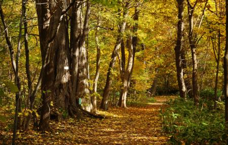 Hokkaido University Botanical Gardens Image
