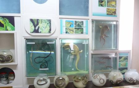 Regional Museum Of Natural History Image