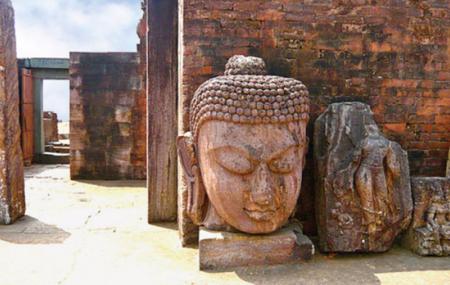 Ratnagiri Buddhist Excavations Image