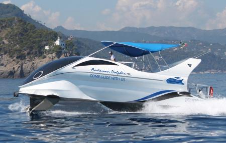 Andaman Dolphin Image