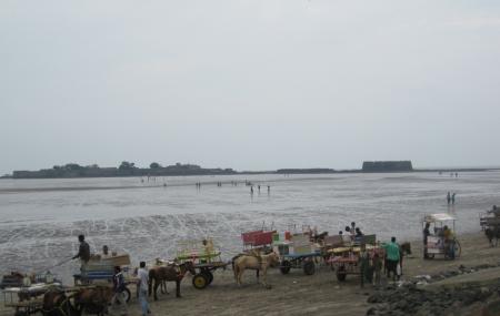 Mandwa Beach Image