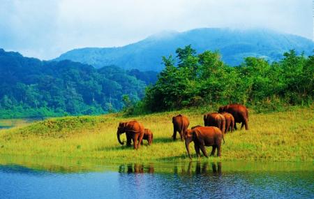 Elephant Lake Image